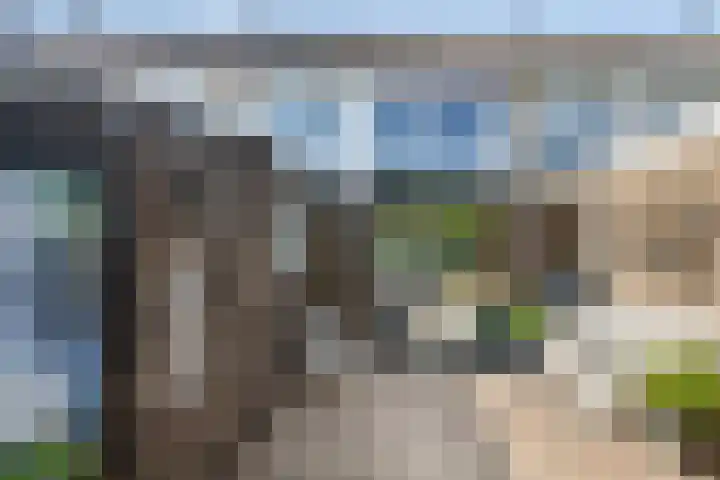 Hoge Hagt 59 Epe foto 3