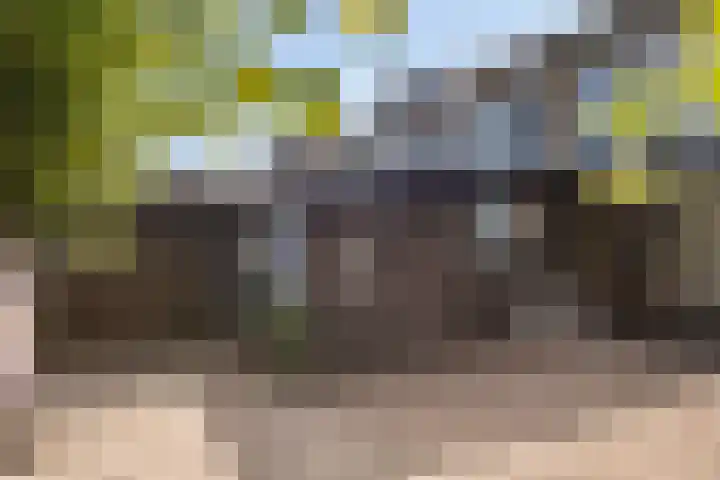 Hoge Hagt 59 Epe thumbnail 30
