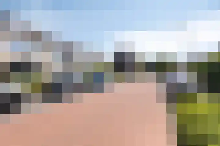 Hoge Hagt 59 Epe thumbnail 33