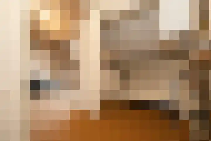 Hoge Hagt 61 Epe thumbnail 26