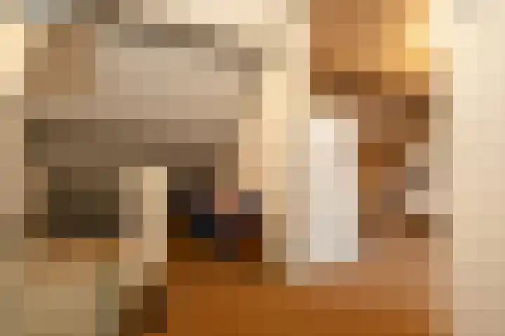 Hoge Hagt 61 Epe thumbnail 27