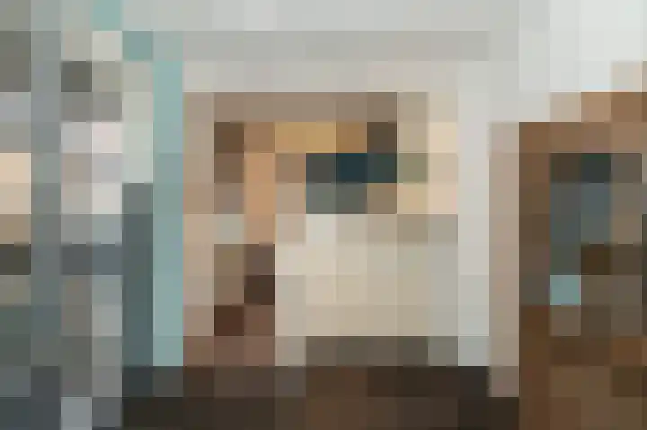 Hoge Hagt 61 Epe thumbnail 5