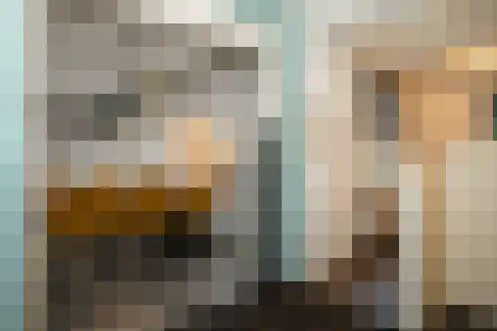 Hoge Hagt 61 Epe thumbnail 6