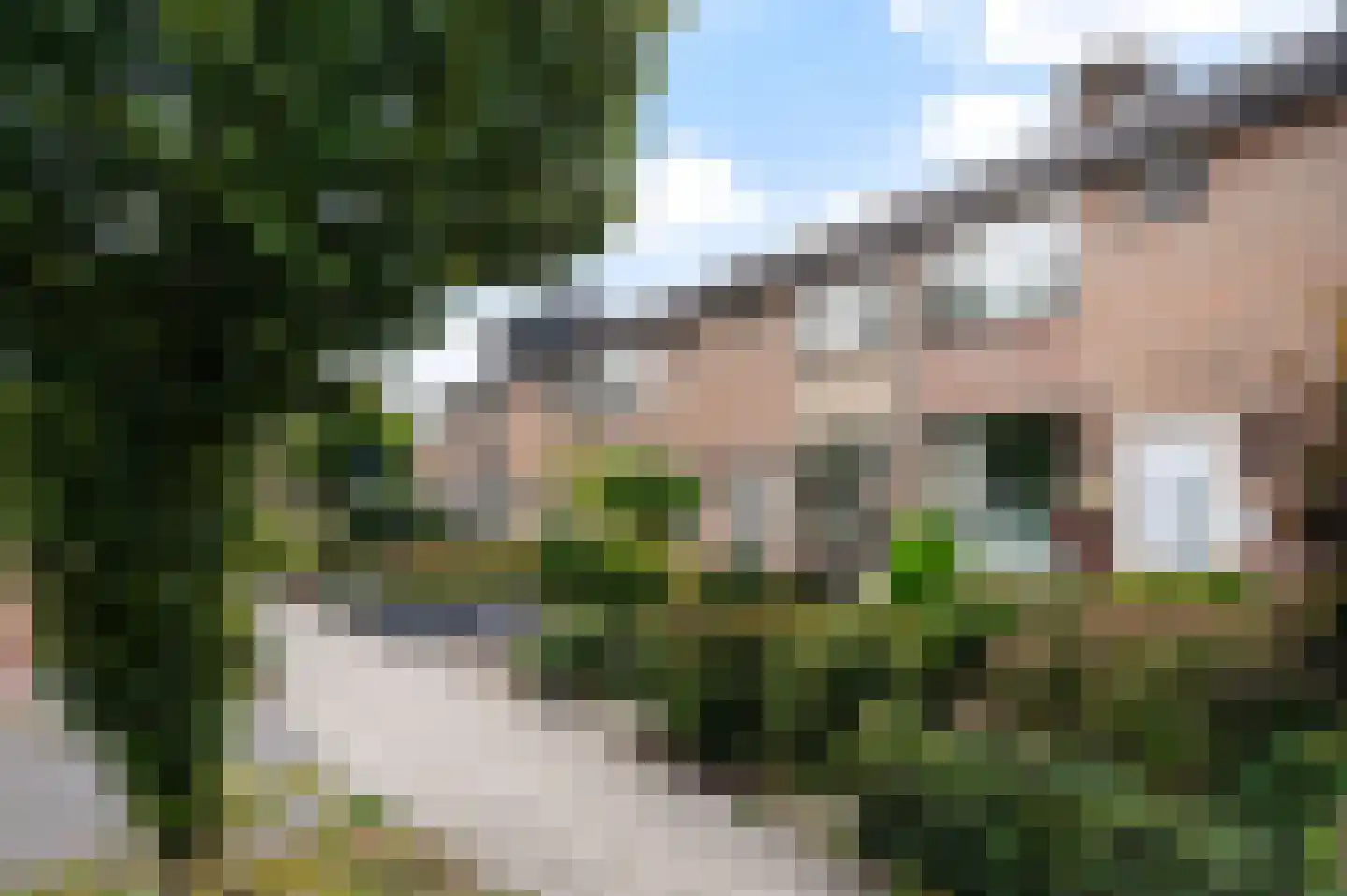 Hoge Hagt 66 Epe foto 3