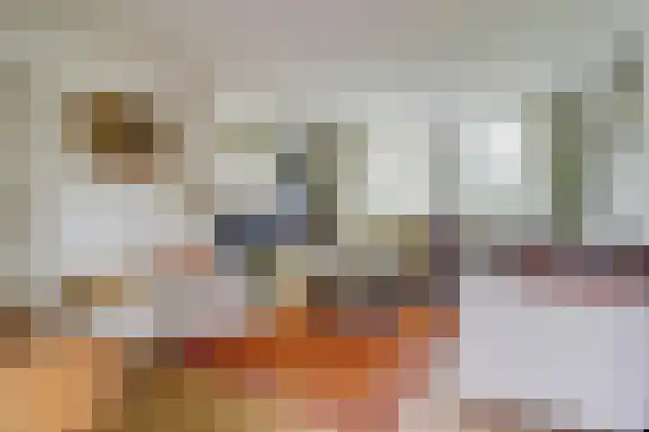 Hoge Ham 117 I Dongen thumbnail 10