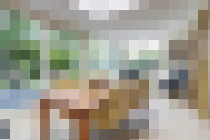 Hoge Ham 117 I Dongen thumbnail 13