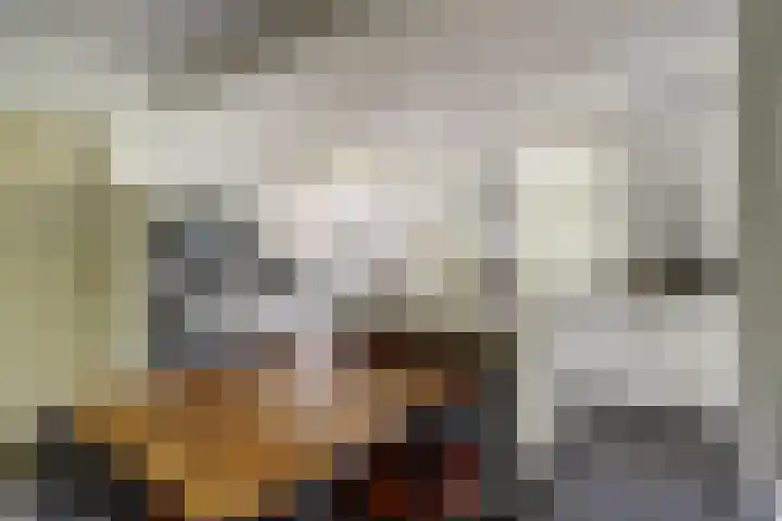 Hoge Ham 117 I Dongen thumbnail 14