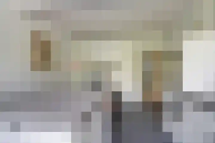 Hoge Ham 117 I Dongen thumbnail 16