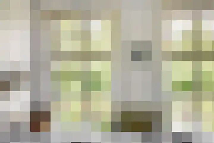 Hoge Ham 117 I Dongen thumbnail 17