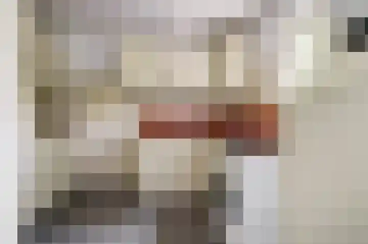 Hoge Ham 117 I Dongen thumbnail 20