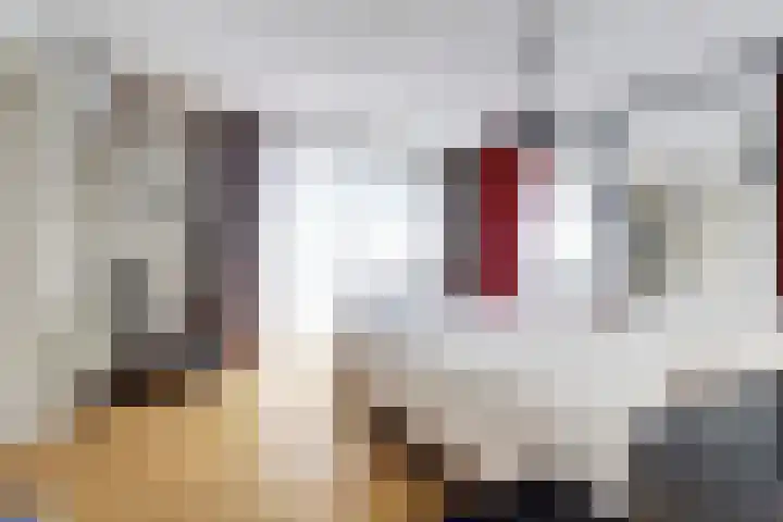 Hoge Ham 117 I Dongen thumbnail 24