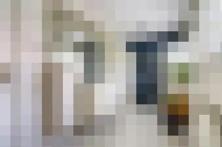 Hoge Ham 117 I Dongen thumbnail 25