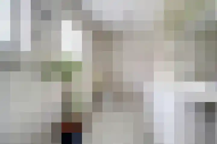 Hoge Ham 117 I Dongen thumbnail 26