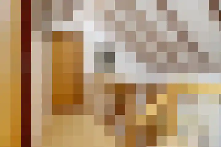 Hoge Ham 117 I Dongen thumbnail 28