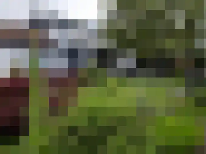 Hoge Ham 117 I Dongen foto 3