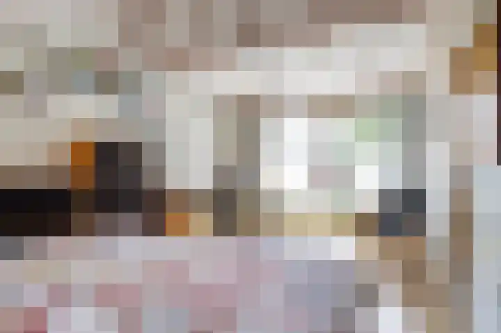 Hoge Ham 117 I Dongen thumbnail 30