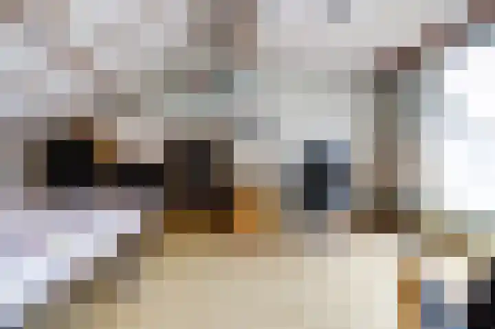 Hoge Ham 117 I Dongen thumbnail 32