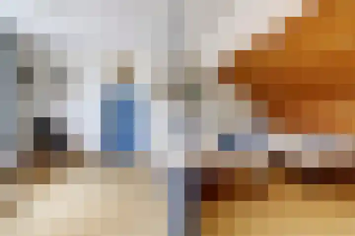 Hoge Ham 117 I Dongen thumbnail 33