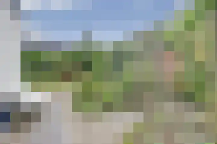 Hoge Ham 117 I Dongen thumbnail 43