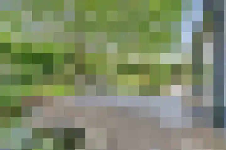Hoge Ham 117 I Dongen thumbnail 44