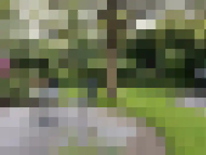 Hoge Ham 117 I Dongen thumbnail 45