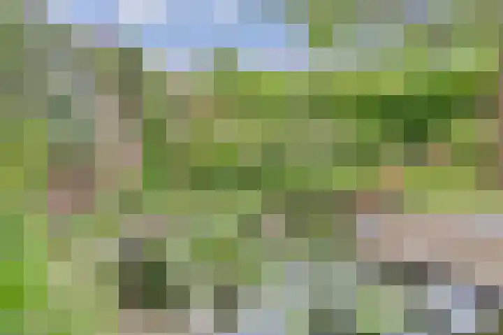 Hoge Ham 117 I Dongen thumbnail 46