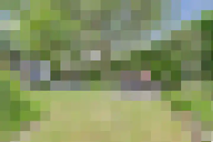 Hoge Ham 117 I Dongen thumbnail 47