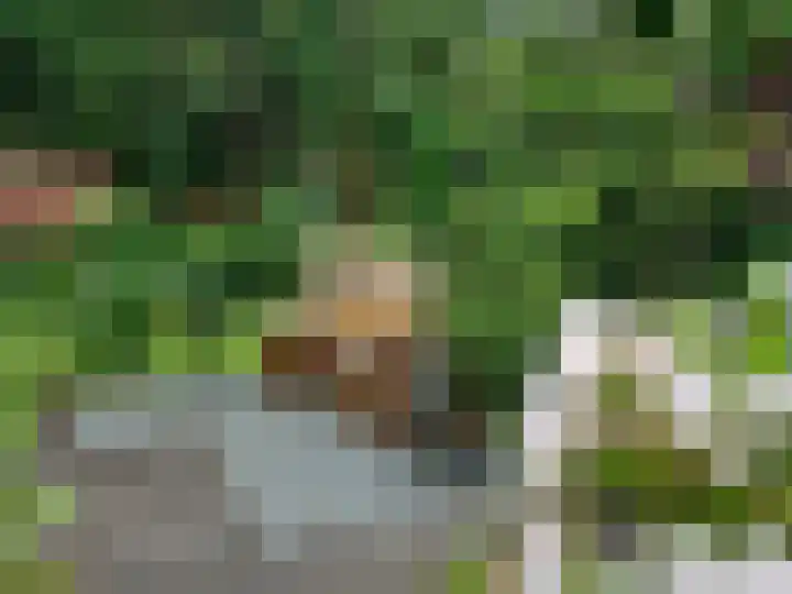 Hoge Ham 117 I Dongen thumbnail 50