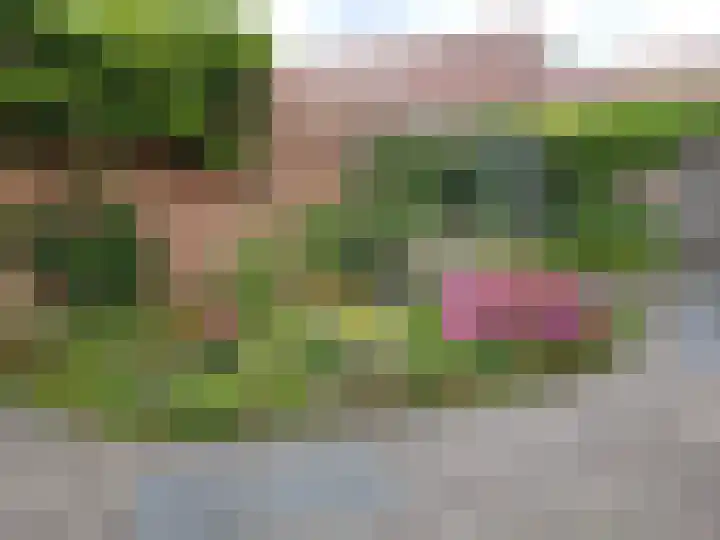 Hoge Ham 117 I Dongen thumbnail 51