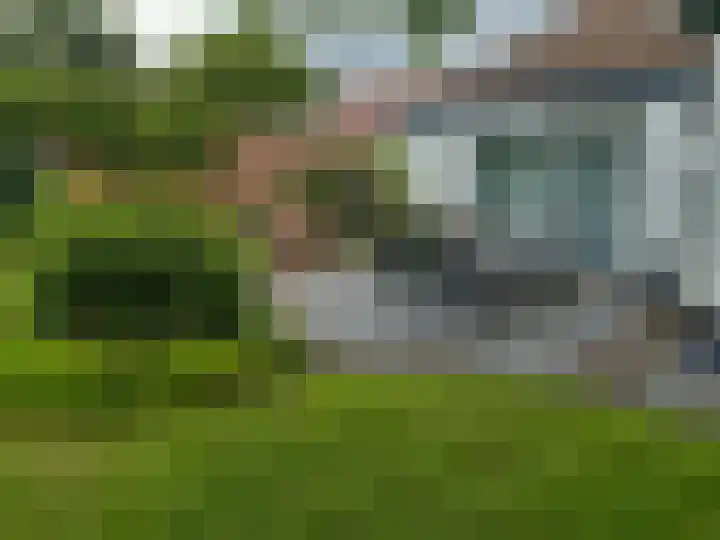 Hoge Ham 117 I Dongen thumbnail 7