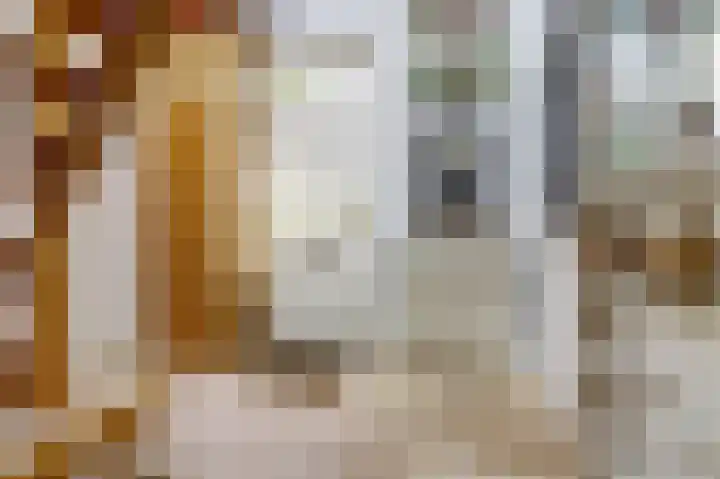 Hoge Ham 117 I Dongen thumbnail 8