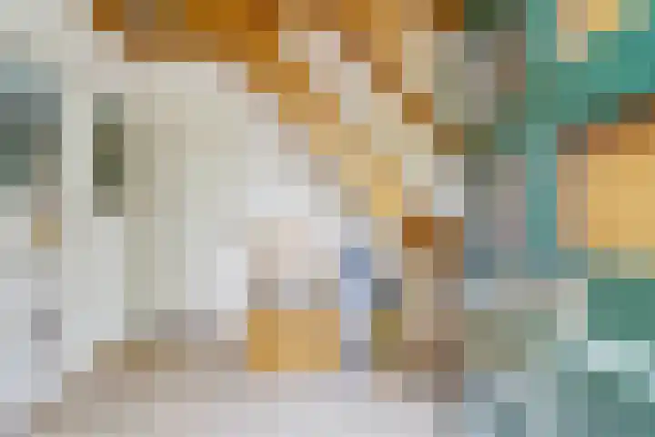 Hoge Ham 117 I Dongen thumbnail 9