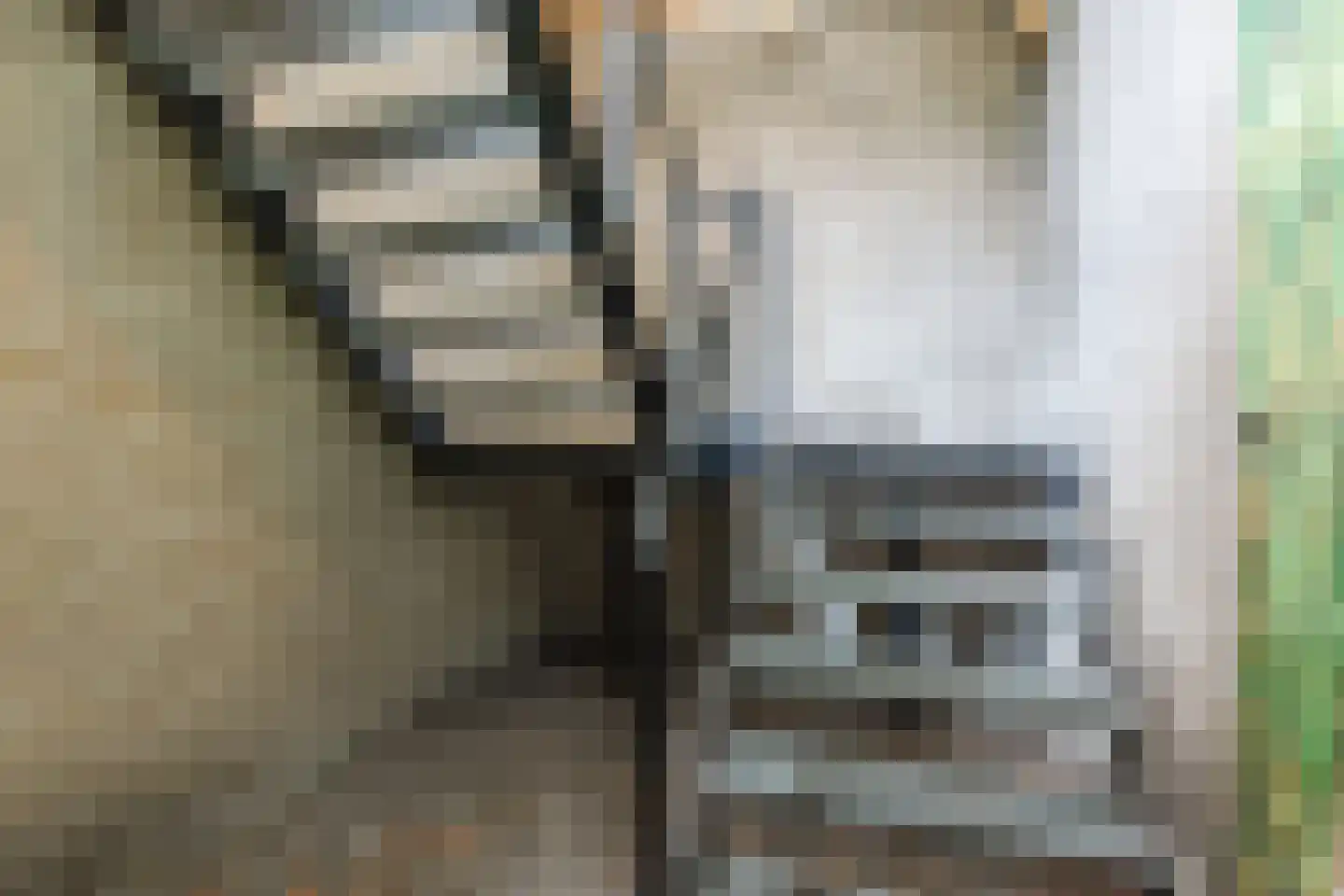 Hoge Ham 155 A Dongen thumbnail 10