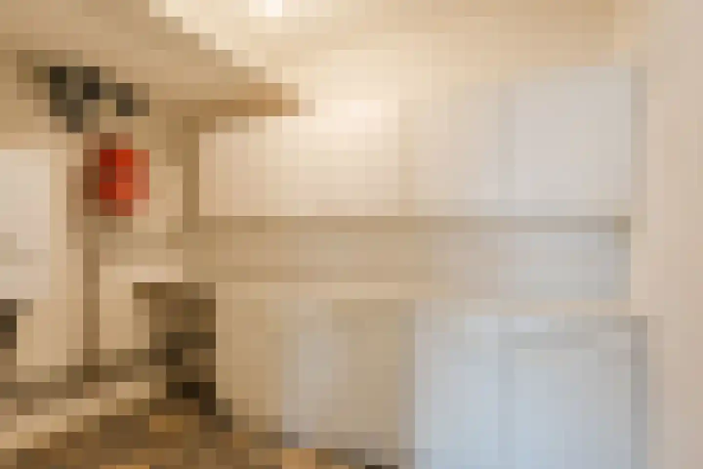 Hoge Ham 155 A Dongen thumbnail 22