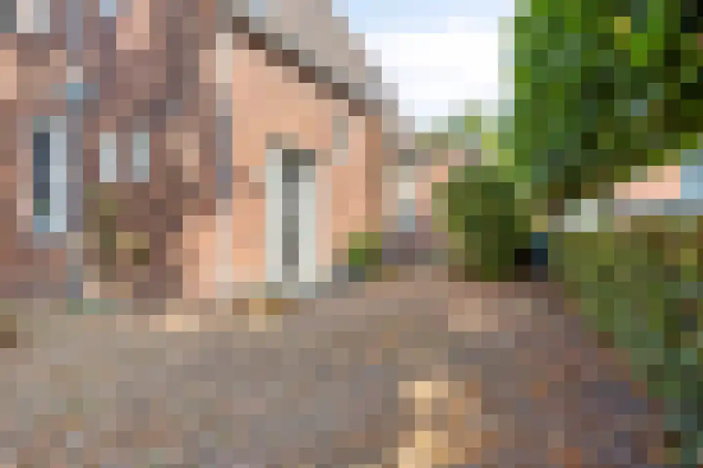 Hoge Ham 171 Dongen thumbnail 10