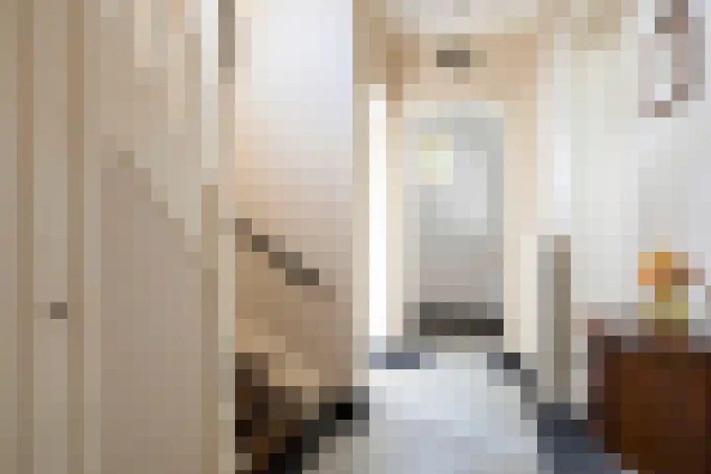 Hoge Ham 171 Dongen thumbnail 12