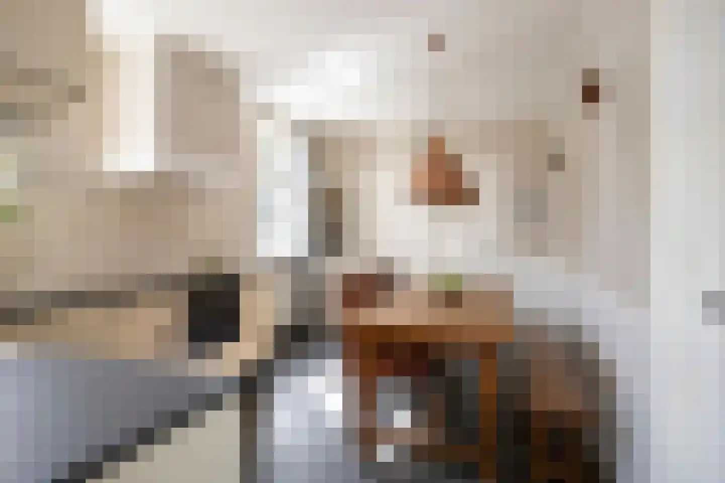 Hoge Ham 171 Dongen thumbnail 18