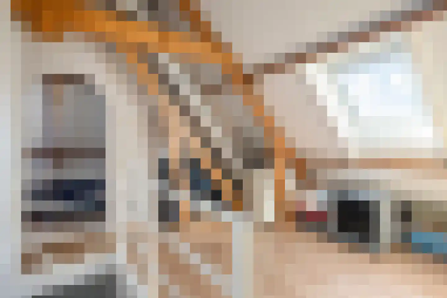 Hoge Ham 171 Dongen thumbnail 29