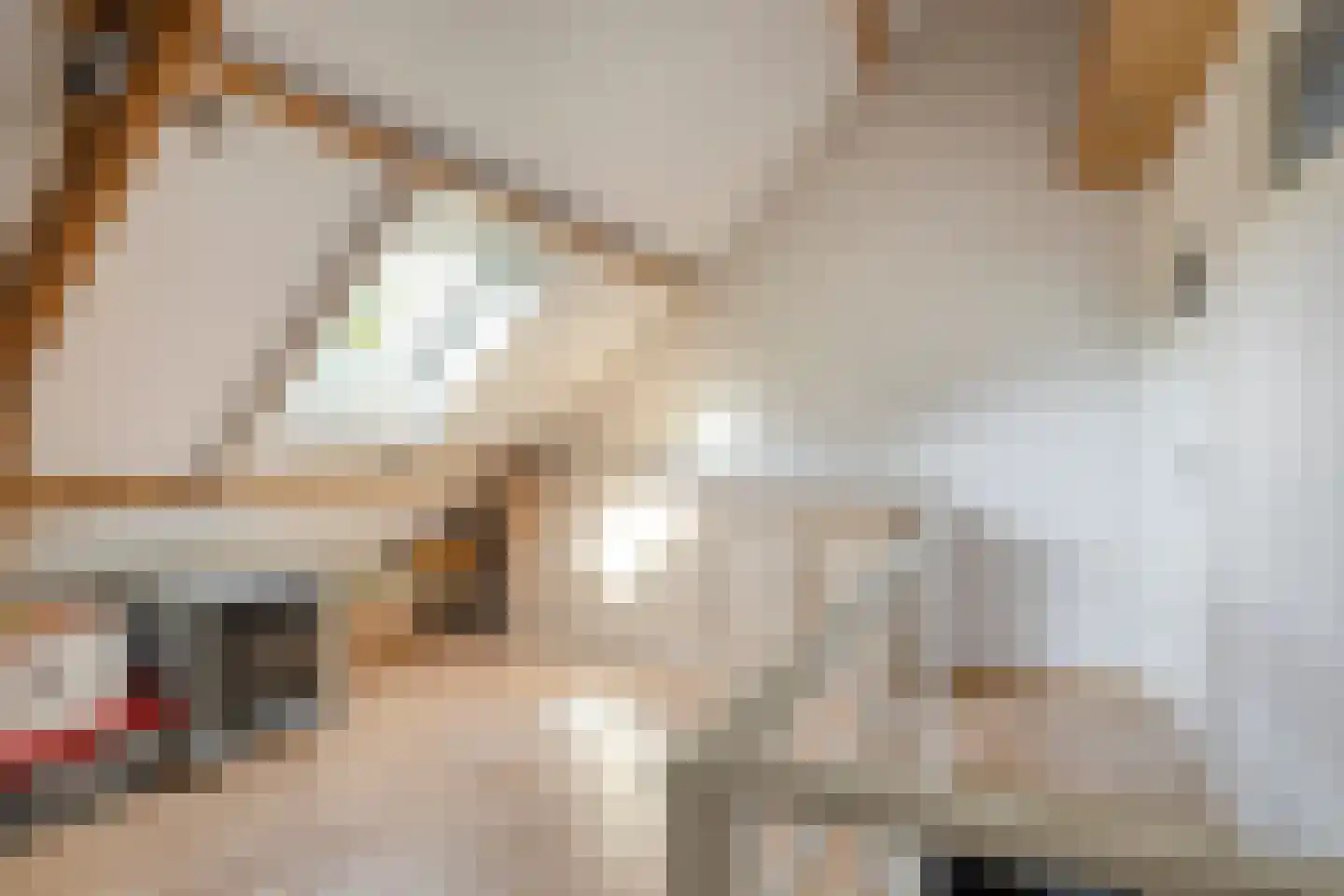 Hoge Ham 171 Dongen thumbnail 30