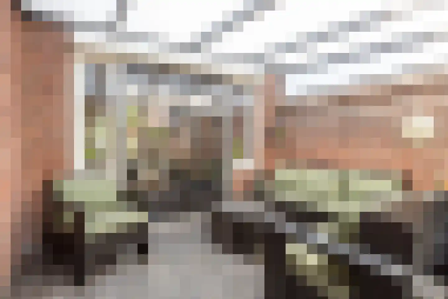 Hoge Ham 171 Dongen thumbnail 32