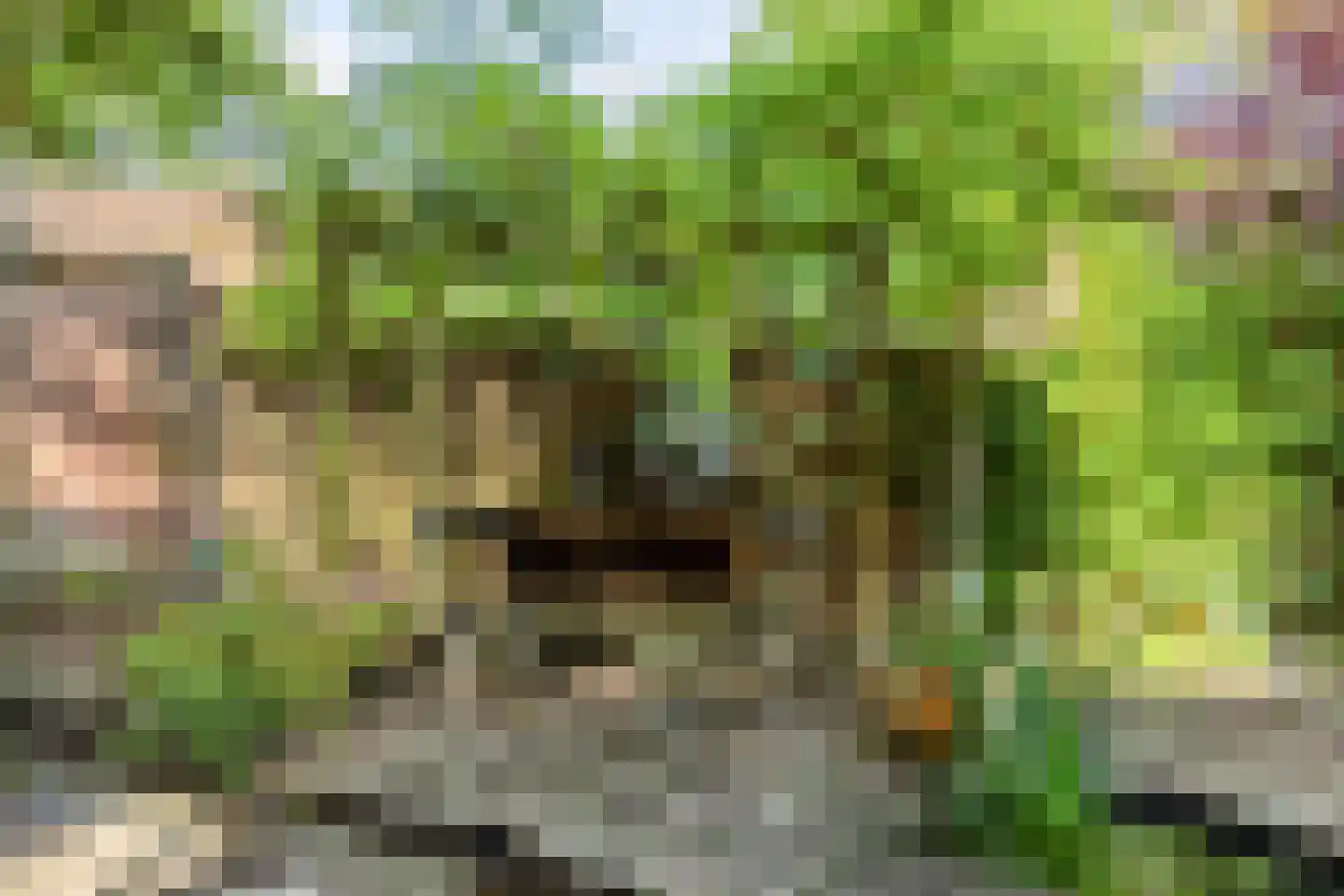 Hoge Ham 171 Dongen thumbnail 34