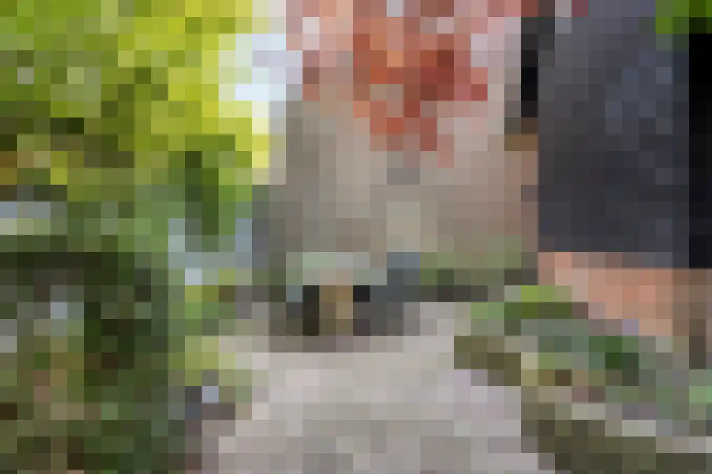 Hoge Ham 171 Dongen thumbnail 35
