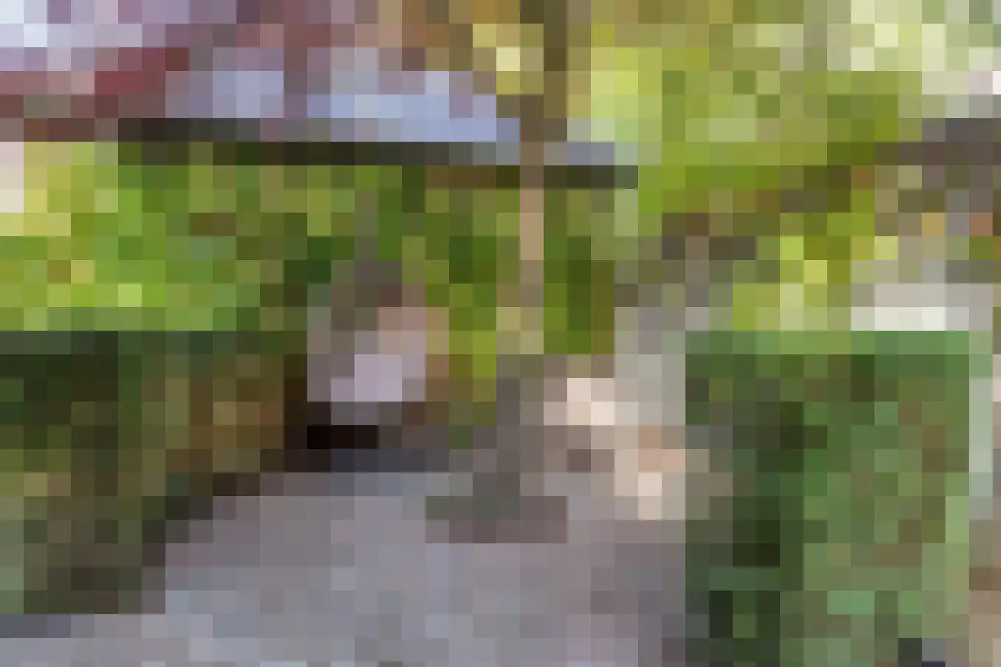 Hoge Ham 171 Dongen thumbnail 36