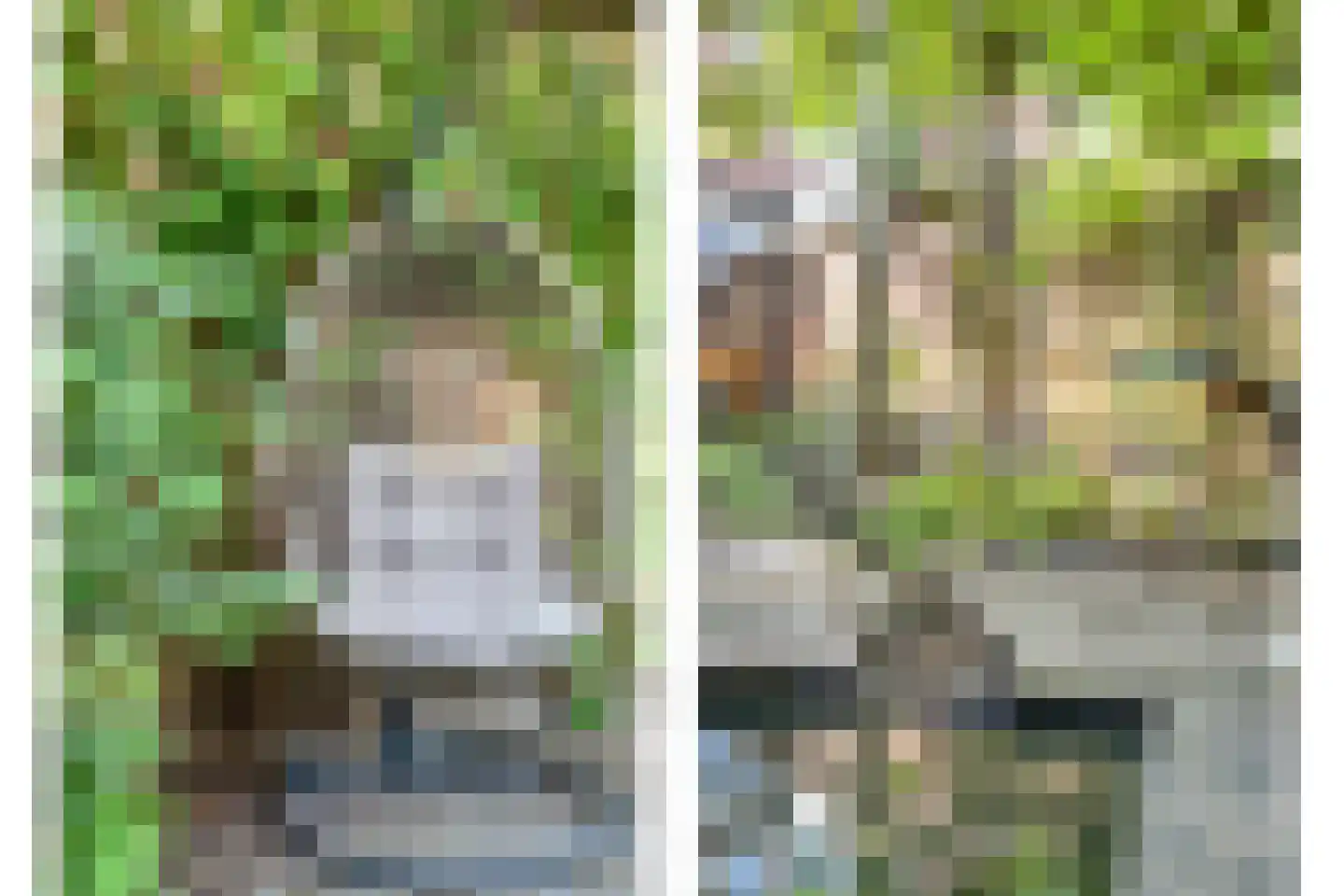 Hoge Ham 171 Dongen thumbnail 37