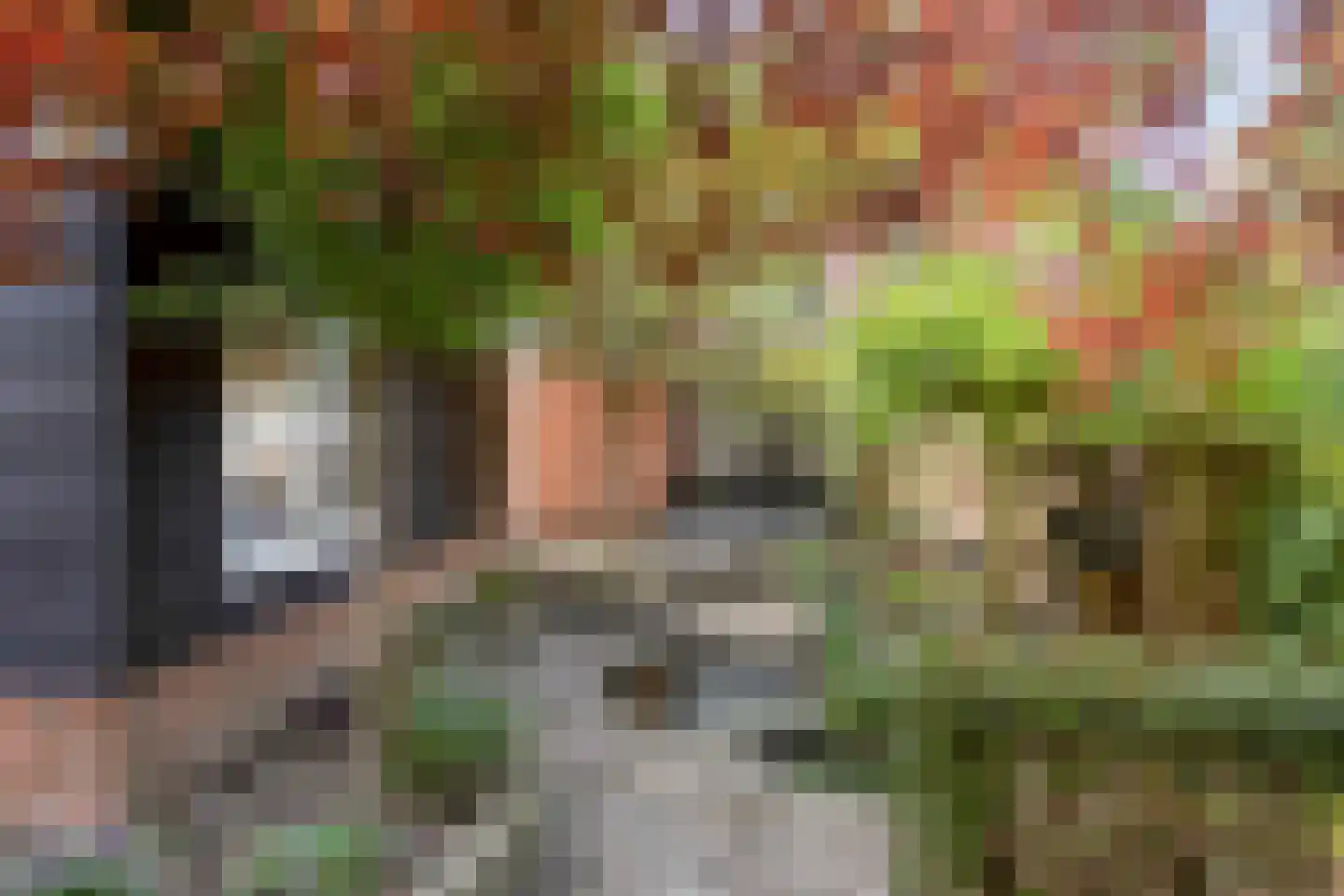 Hoge Ham 171 Dongen thumbnail 38