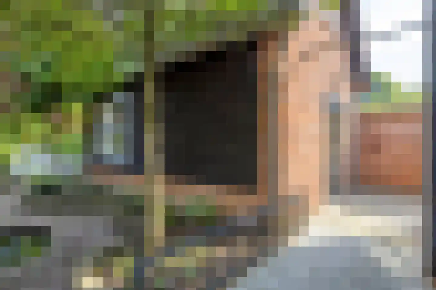 Hoge Ham 171 Dongen thumbnail 39