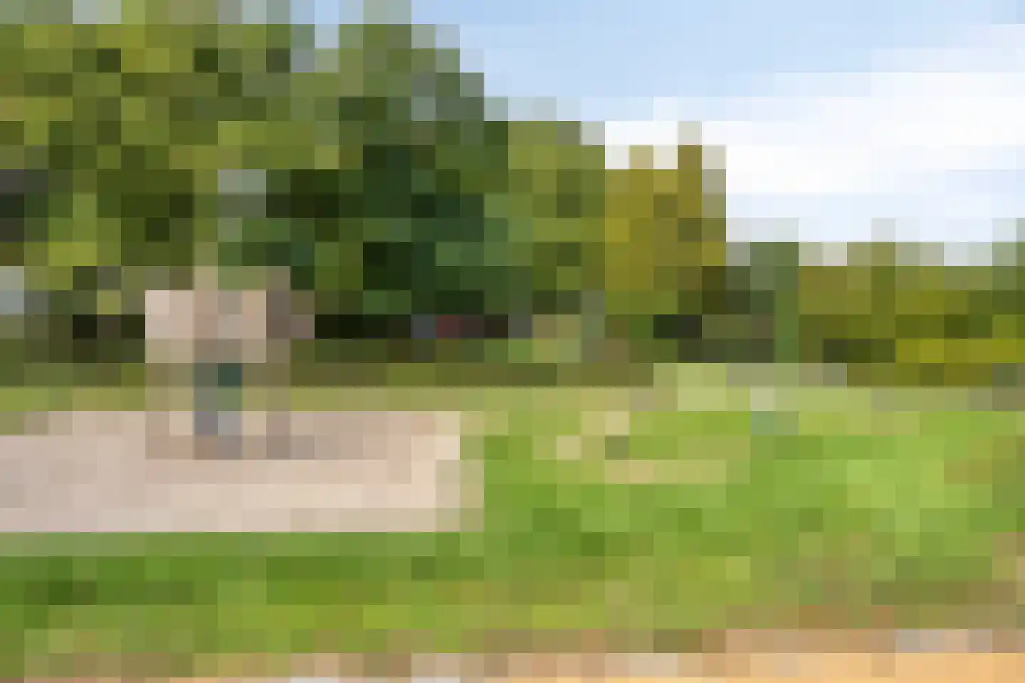 Hoge Ham 171 Dongen thumbnail 43
