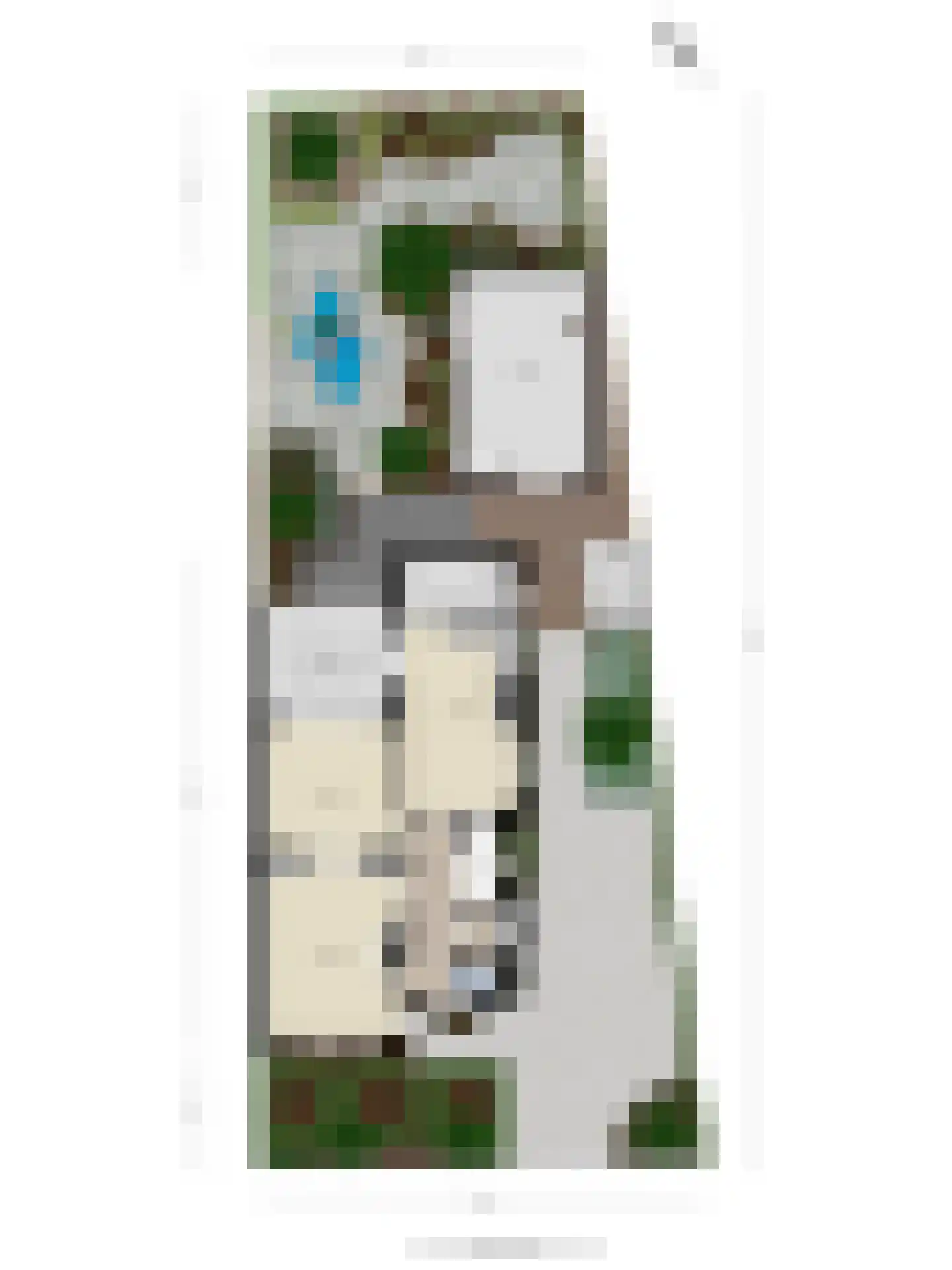 Hoge Ham 171 Dongen thumbnail 44