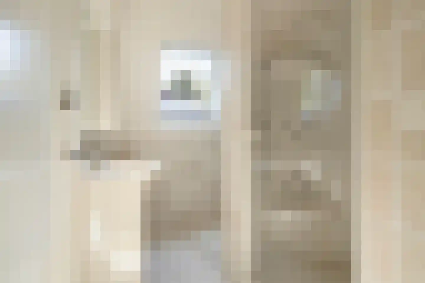 Hoge Ham 171 Dongen thumbnail 6