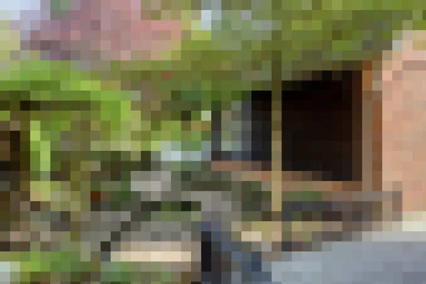 Hoge Ham 171 Dongen thumbnail 7